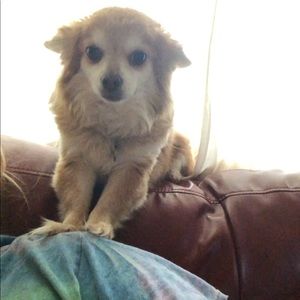 Meet your Posher, Rachael